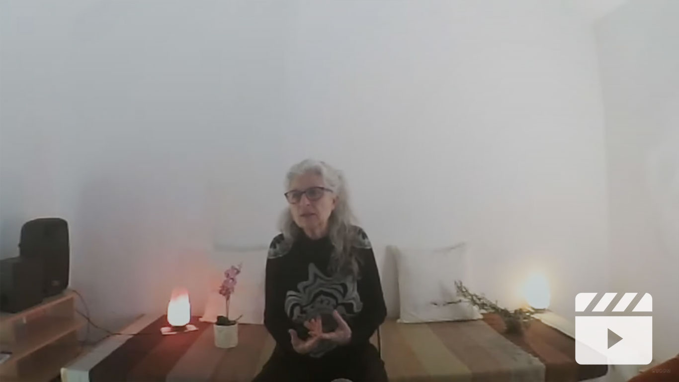 La naturaleza que no somos